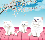 写实的白色猫咪矢量素材