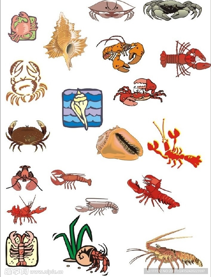 海洋生物