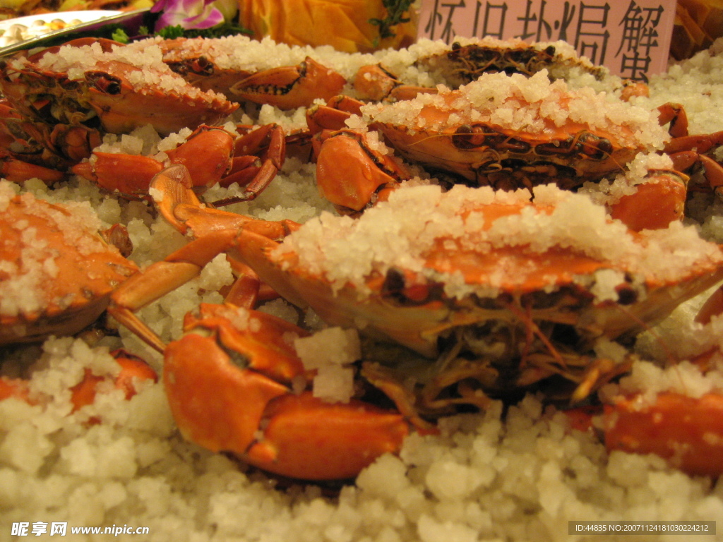 阳江美食节经典美食