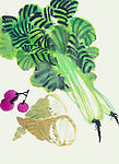 花果系列国画025