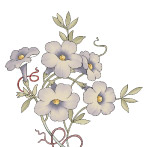 最新韩国花纹花系列