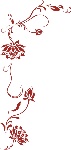 花纹