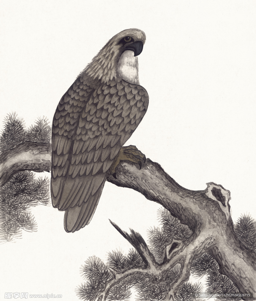 国画系列—飞禽走兽