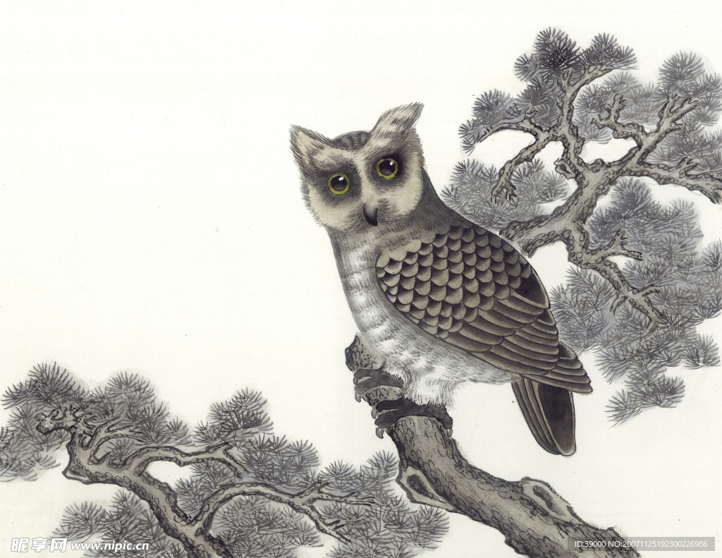 国画系列—飞禽走兽