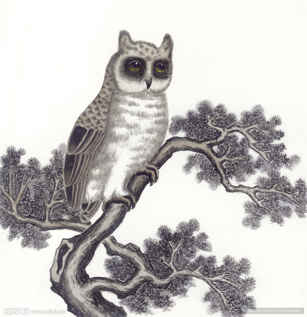 国画系列—飞禽走兽