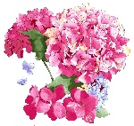 韩国花纹精选