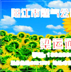 名片素材