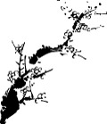 梅 花5