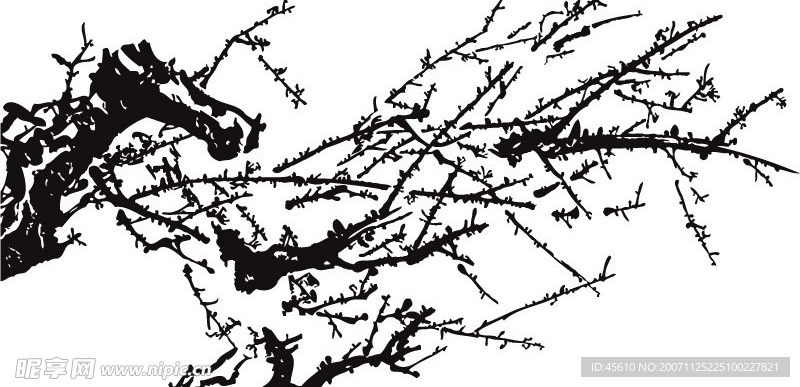 树枝