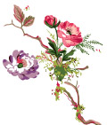 高清花纹23