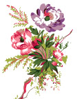 高清花纹25