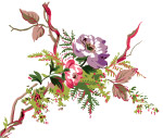 高清花纹26