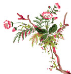 高清花纹24