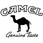 Camel-01
