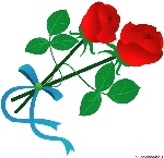 玫瑰花