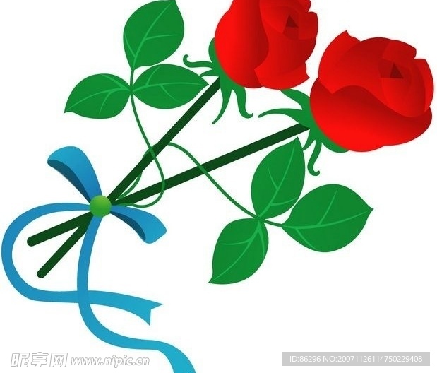 玫瑰花