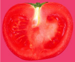 去背蔬菜源文件