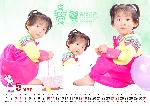 2008台历模板