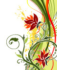 花边