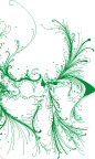 花纹