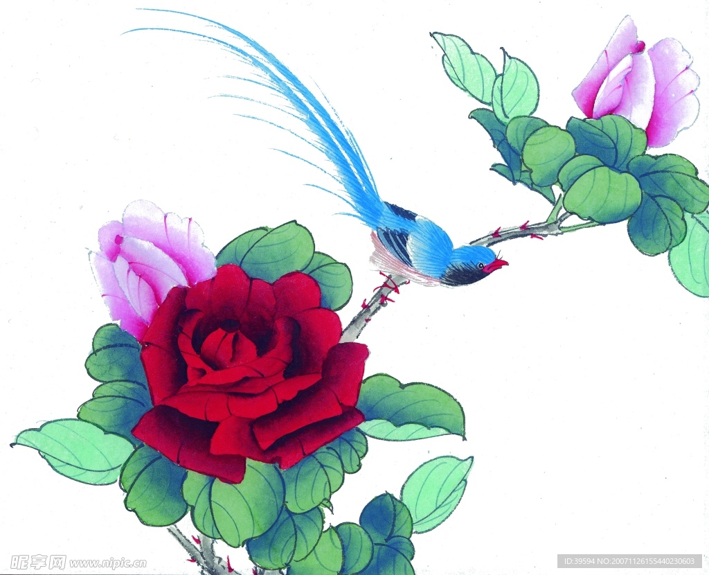 花鸟国画