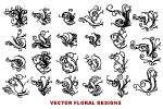 Floral_Designs