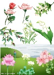 超级精美鲜花