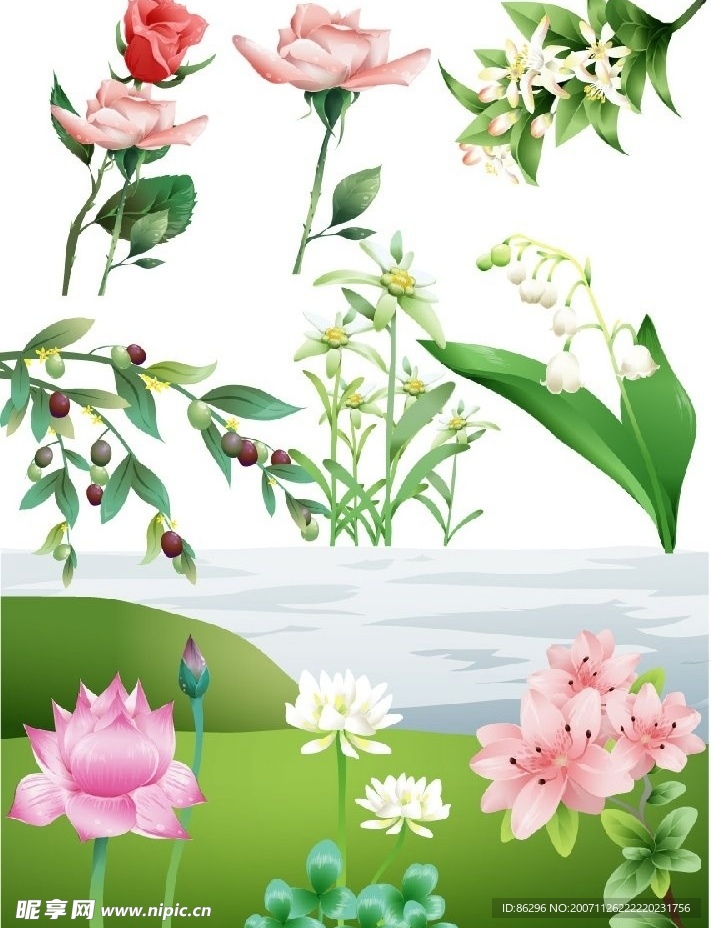 超级精美鲜花