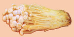 去背蔬菜源文件