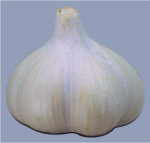 去背蔬菜源文件