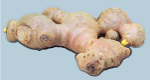 去背蔬菜源文件