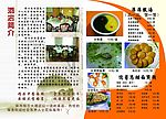 菜谱