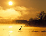 夕阳美景