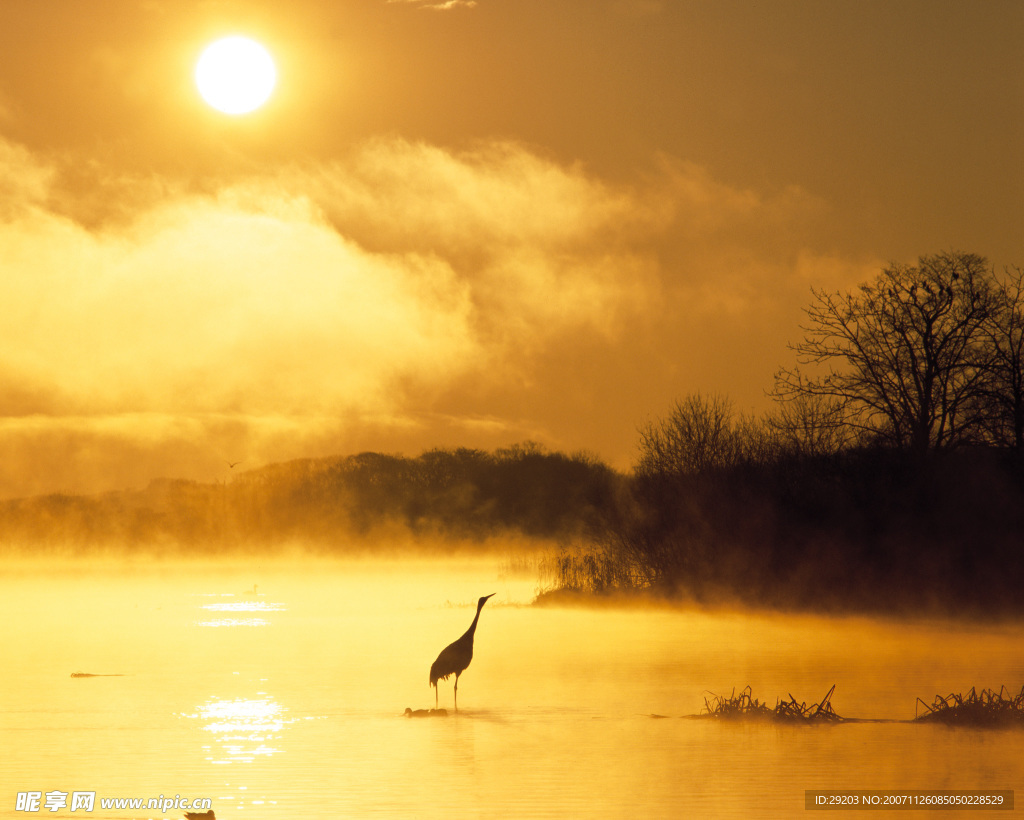 夕阳美景