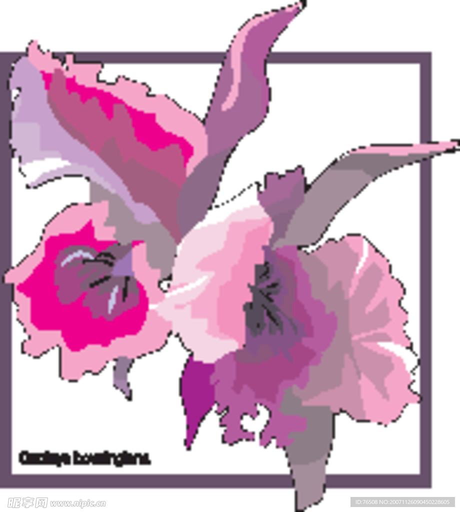 花  素材