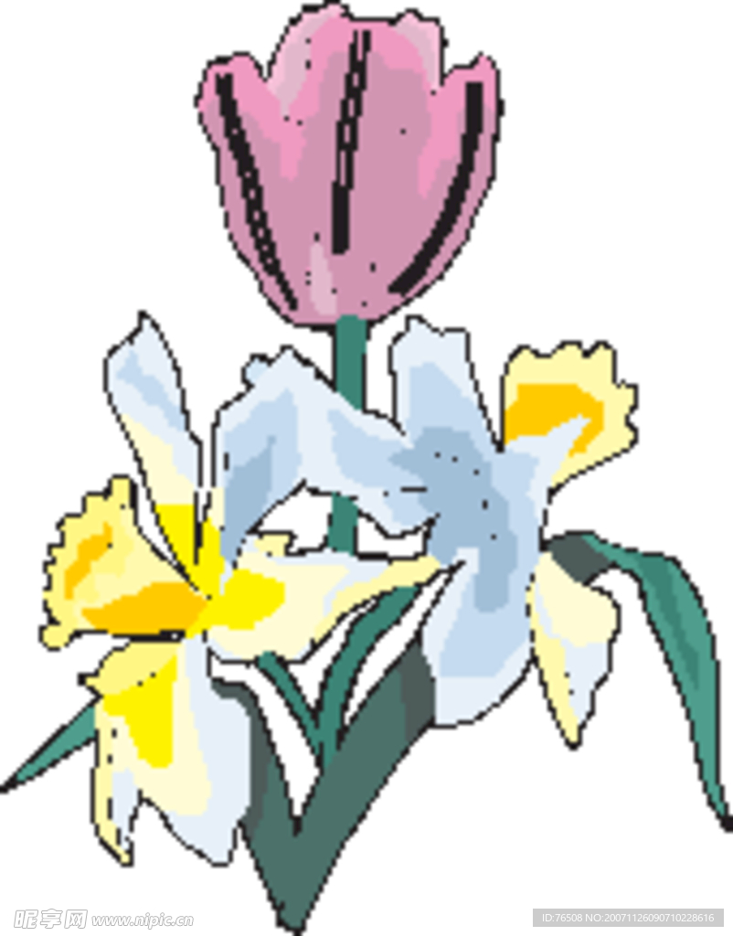 花  素材