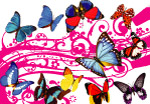 设计元素花式蝴蝶