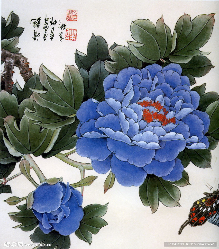 扫描牡丹