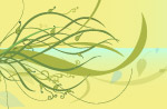 韩花纹(1).