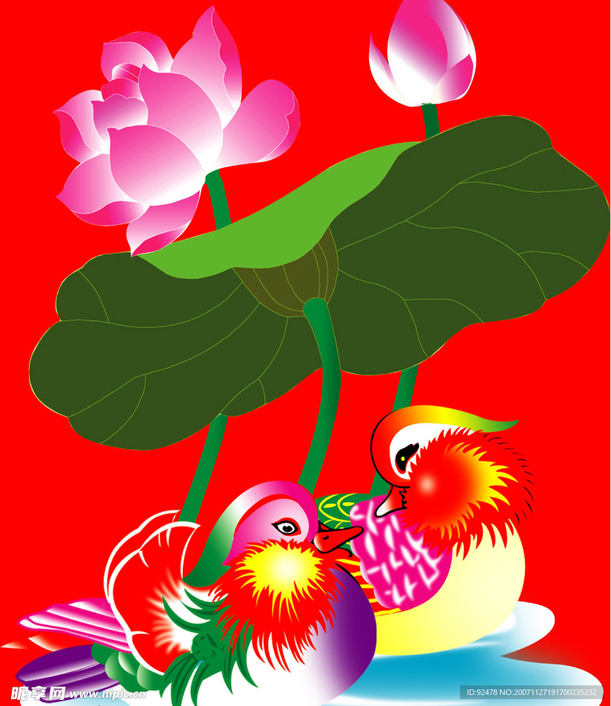 荷花和鸳鸯