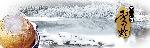 滋养补品之雪蛤