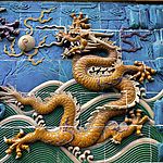 龙