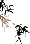 竹