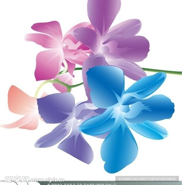 时尚色彩花卉