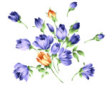 精致花纹