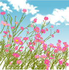 花纹花草