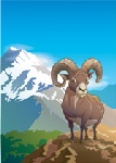 山羊