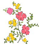 自己手绘的花