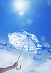 绿色、天空、水生态