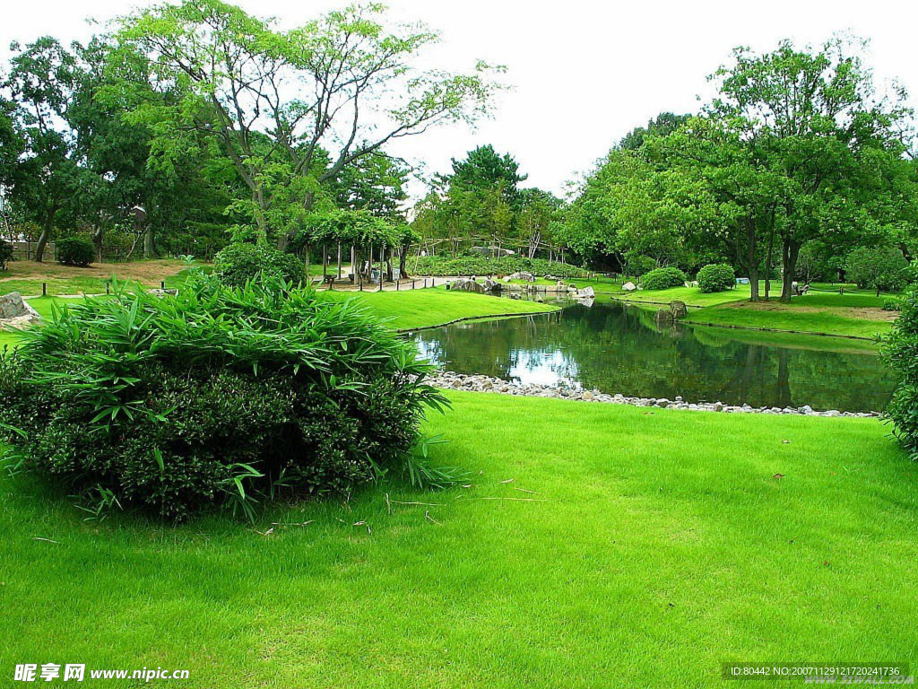 绝美风景